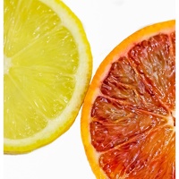 Lemon & Orange
